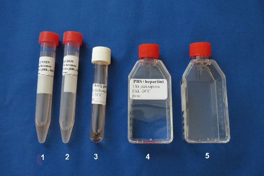 Picture8.jpg